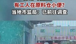 青岛啤酒爆料视频最新,探寻百年品牌背后的传奇故事